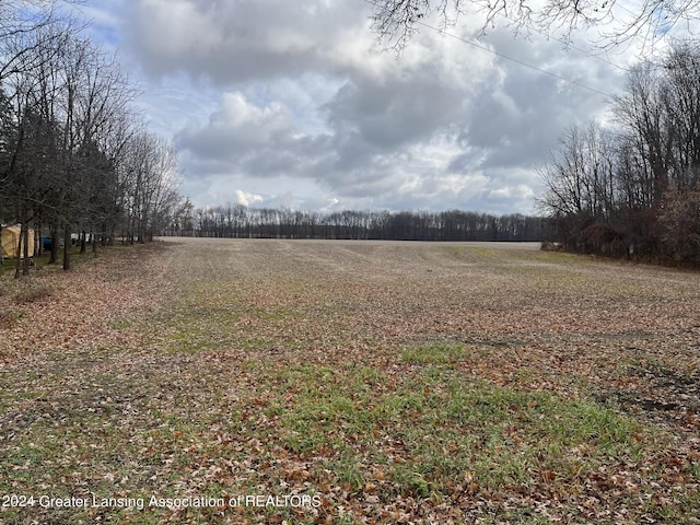 0 Green St, Springport, MI 49284