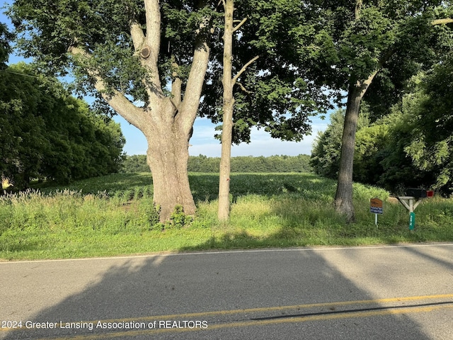 0 Green St, Springport, MI 49284