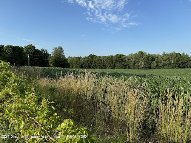 0 Green St, Springport, MI 49284