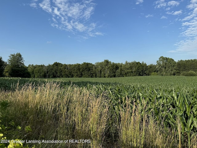 0 Green St, Springport, MI 49284