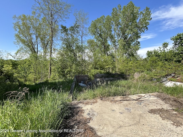 9731 E Coats Grove Rd, Woodland MI, 48897 land for sale