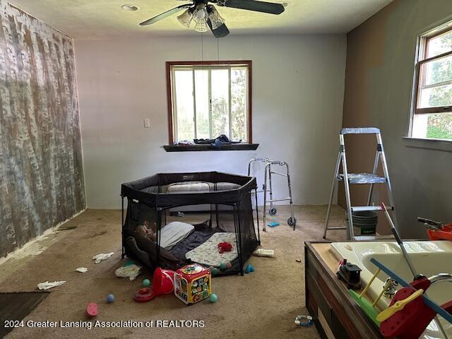 interior space with plenty of natural light, ceiling fan, and carpet flooring