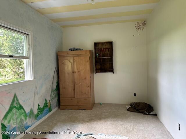 unfurnished bedroom with carpet flooring