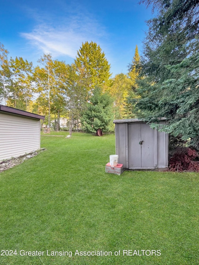 view of yard featuring a shed