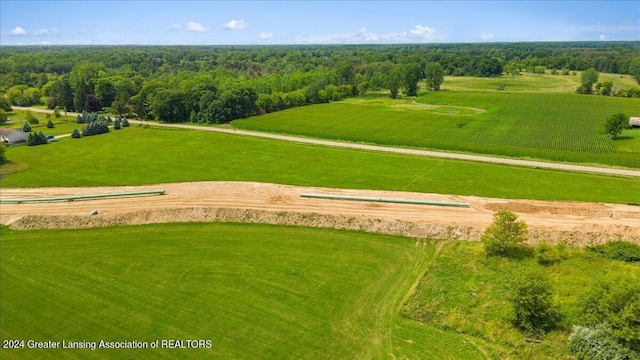 PARCELD S Hollister Rd, Laingsburg, MI 48848 - photo 4