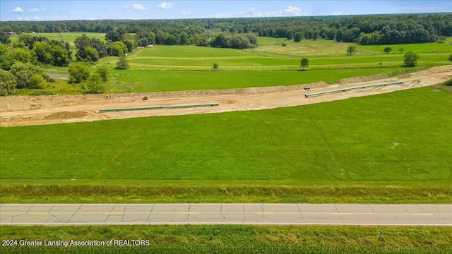 PARCELD S Hollister Rd, Laingsburg, MI 48848 - photo 5