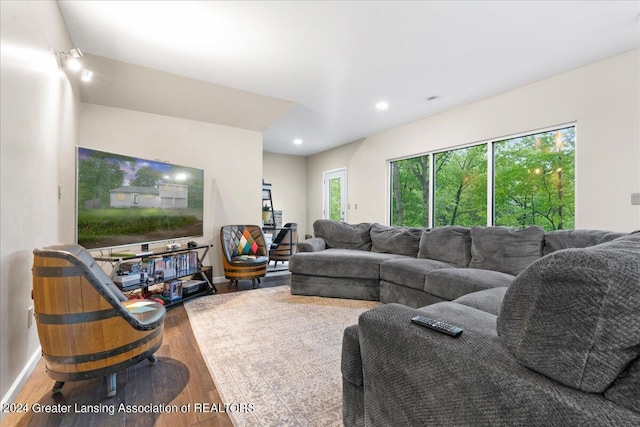 living room featuring hardwood / wood-style floors