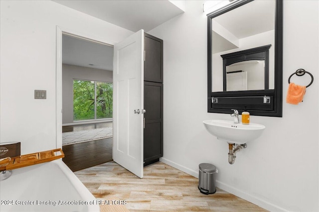 bathroom featuring sink and wood-type flooring