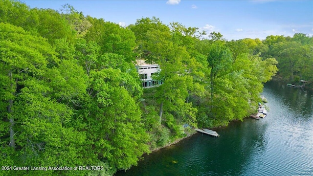 drone / aerial view with a water view