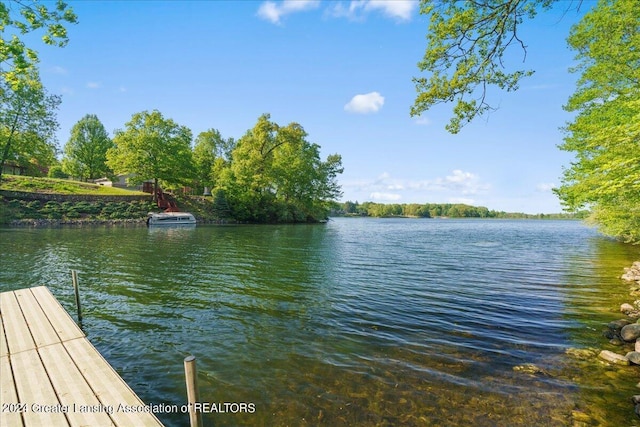 property view of water with a boat dock