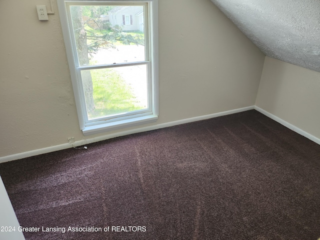 bonus room with carpet, a textured ceiling, and vaulted ceiling