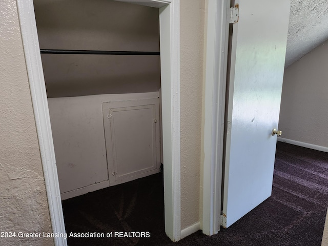 interior space featuring carpet and a textured ceiling