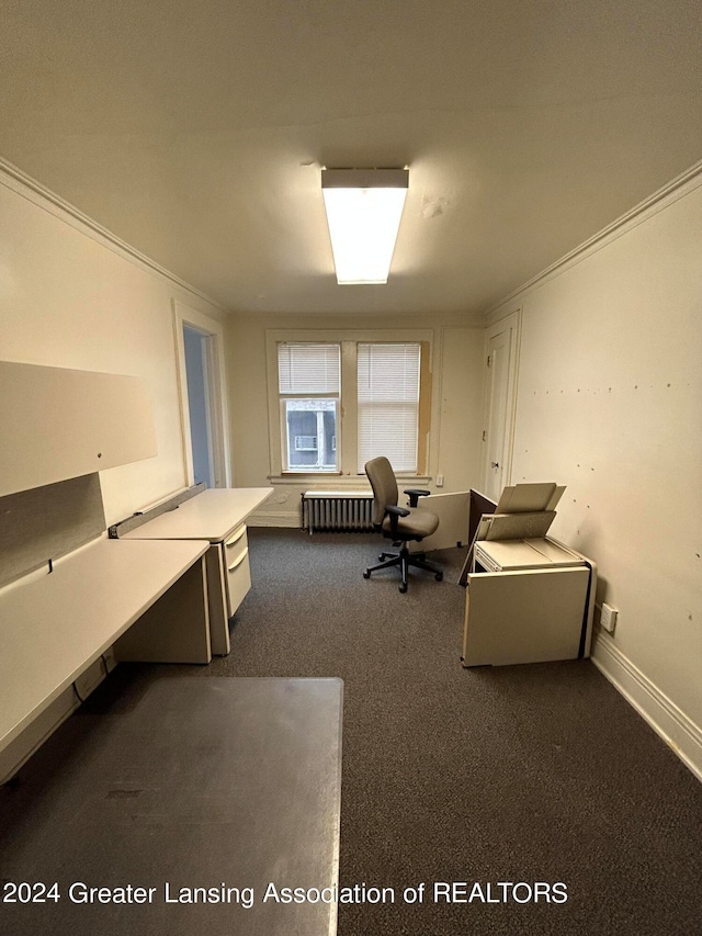 miscellaneous room with carpet flooring, radiator, and crown molding