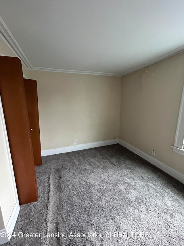 empty room with carpet flooring and crown molding