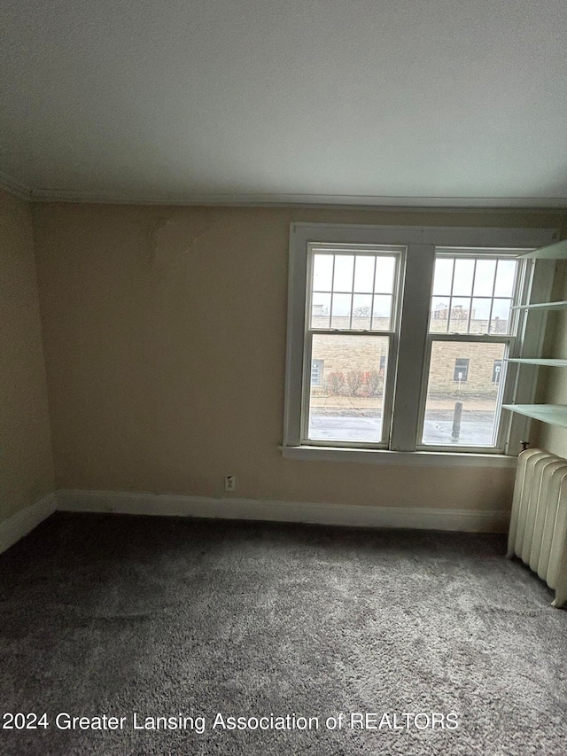 empty room featuring carpet and radiator