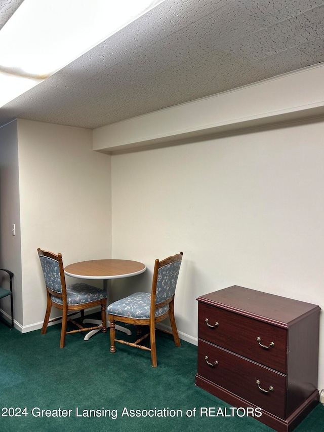 dining room with carpet and a textured ceiling