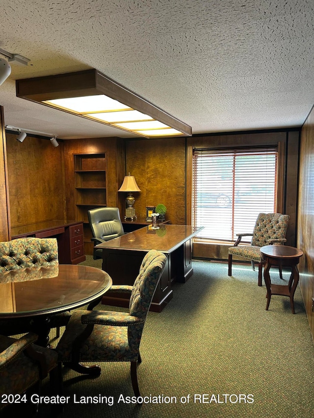 interior space featuring wood walls and a textured ceiling