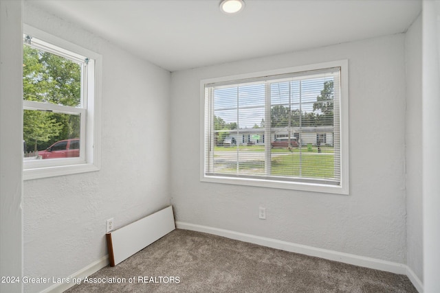 carpeted empty room featuring plenty of natural light