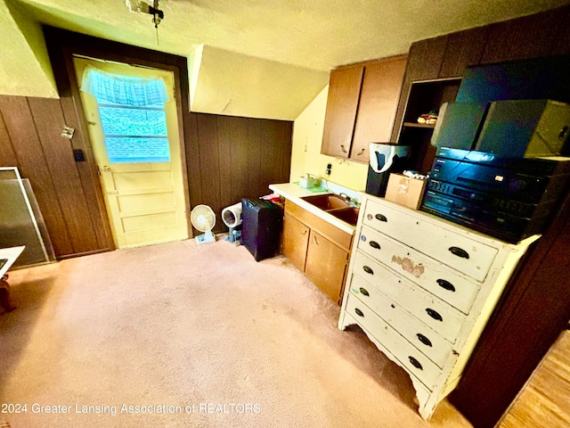 kitchen featuring wood walls, light colored carpet, and a textured ceiling