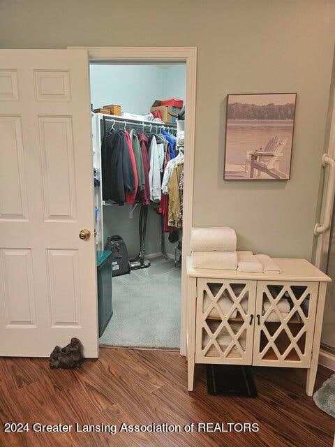 walk in closet with wood-type flooring