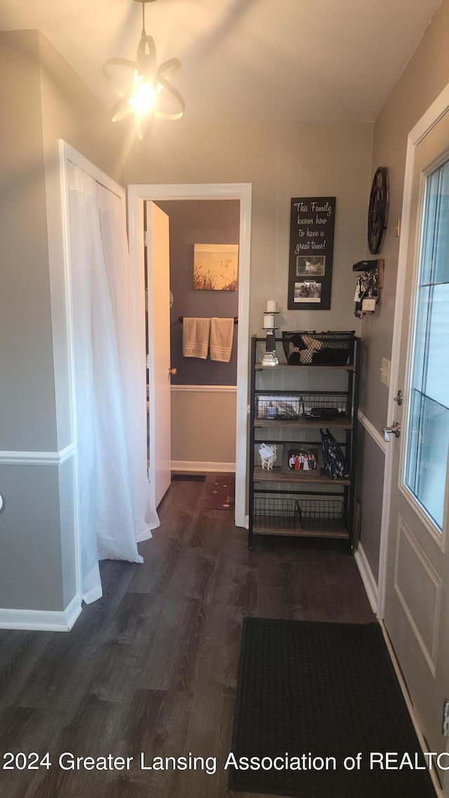 corridor featuring dark hardwood / wood-style floors and a wealth of natural light