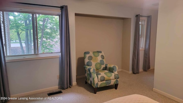 living area with light colored carpet