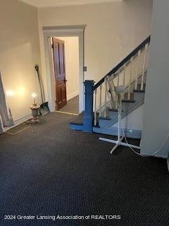 workout room featuring carpet