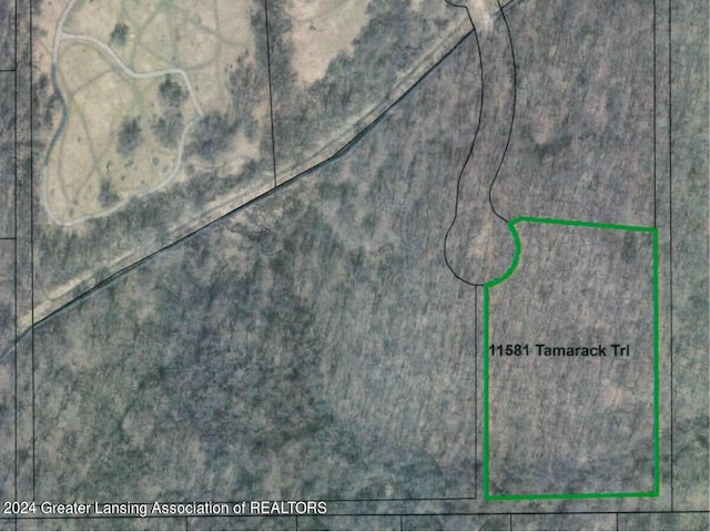 11581 Tamarack Trl, Bath MI, 48808 land for sale