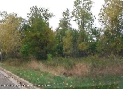 1610 W S St, Owosso MI, 48867 land for sale