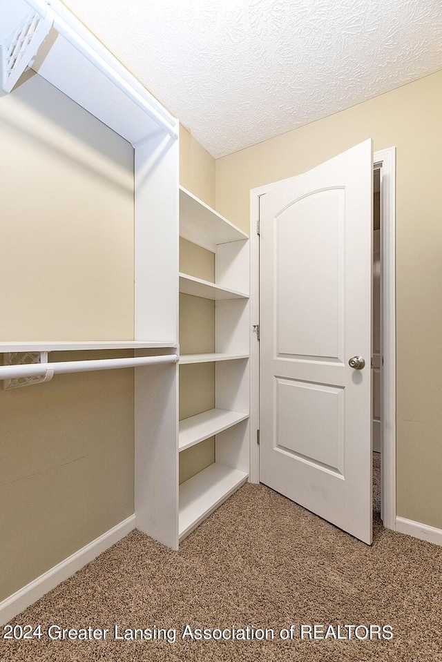 walk in closet featuring light carpet