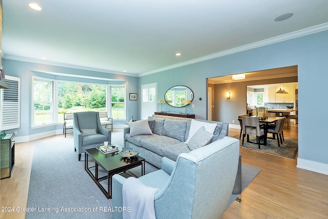 living room featuring a wealth of natural light, crown molding, and light wood-type flooring