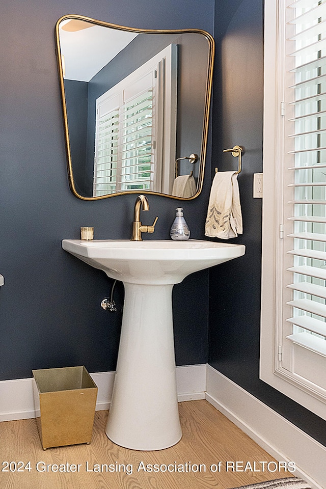 bathroom with sink and wood-type flooring