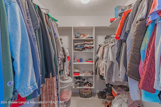 walk in closet featuring carpet