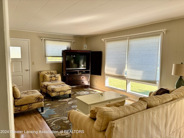 living room with wood finished floors