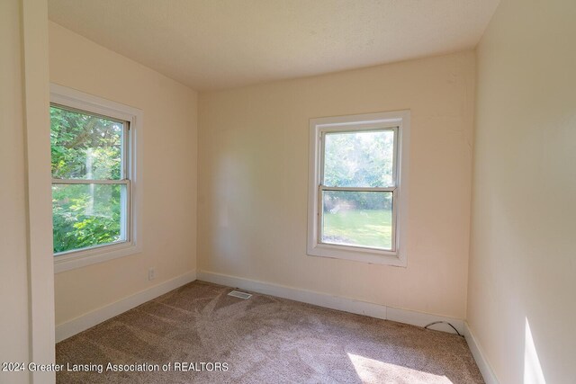 empty room with carpet flooring and plenty of natural light