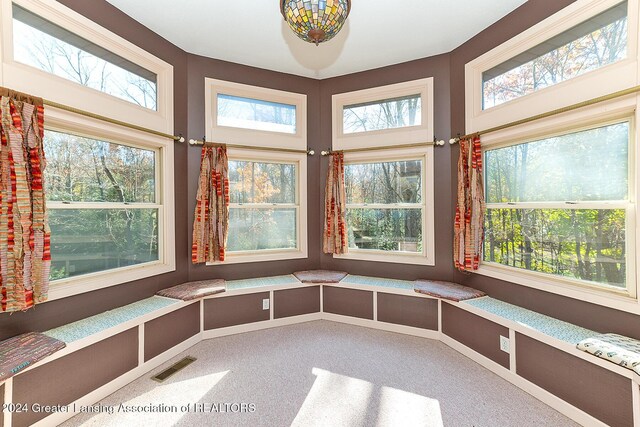 8425 Oakside St, Portage, MI 49002 - unfurnished sunroom featuring plenty of natural light, carpet flooring, and baseboards