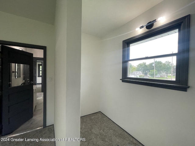 spare room featuring plenty of natural light and vaulted ceiling