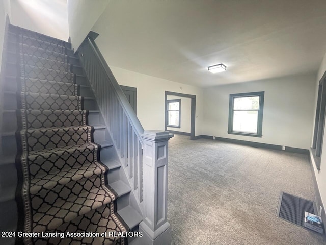 staircase featuring carpet floors