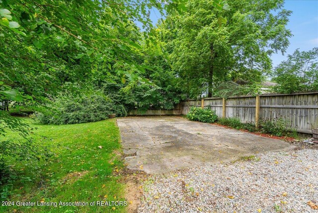 view of yard featuring a patio area