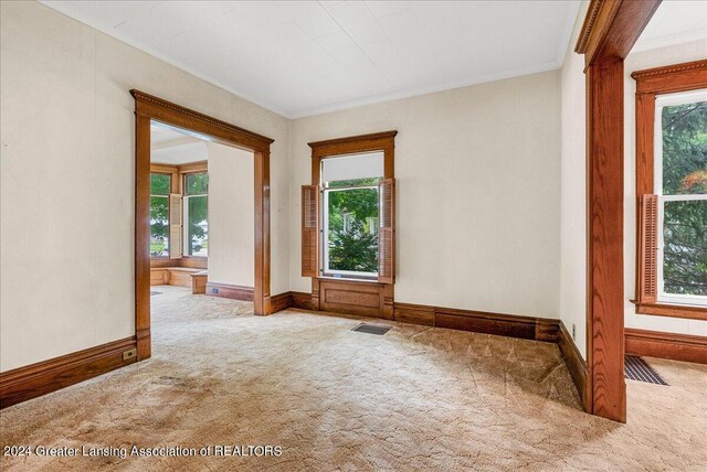 carpeted empty room featuring ornamental molding and a wealth of natural light