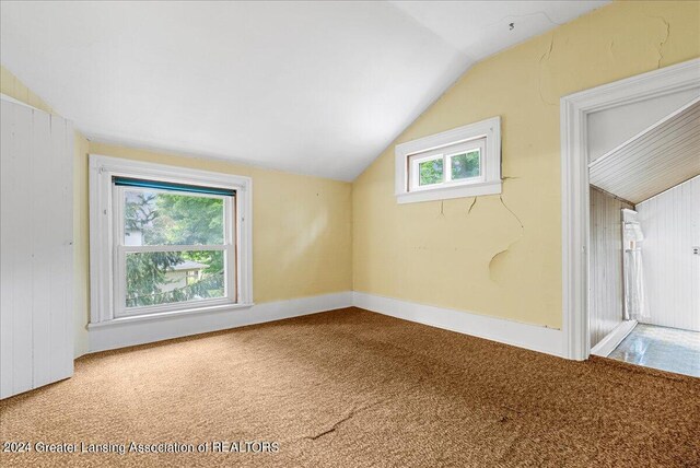 additional living space featuring lofted ceiling, wood walls, and carpet flooring