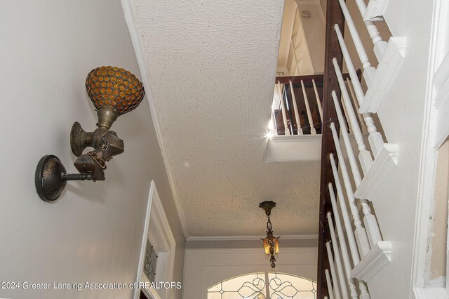 details with crown molding and a textured ceiling