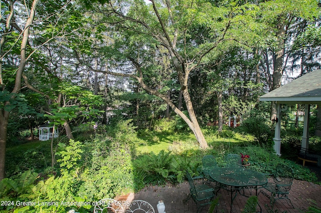 view of yard featuring a patio area