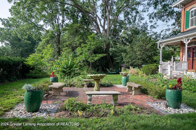 view of yard with a patio area