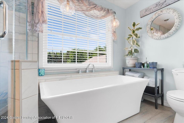 bathroom with a bathing tub and toilet