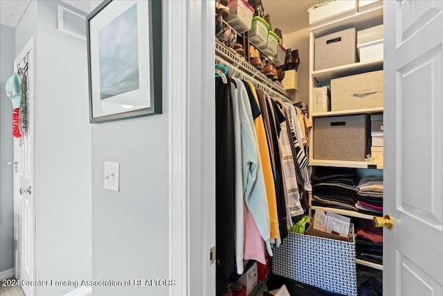 view of spacious closet