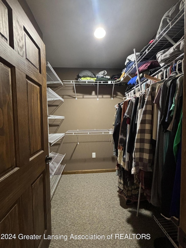 14850 22 1/2 Mile Rd, Marshall, MI 49068 - spacious closet with carpet flooring