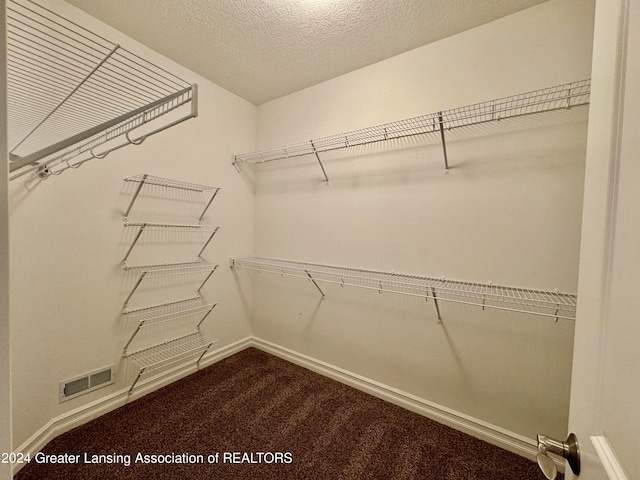 spacious closet featuring carpet floors