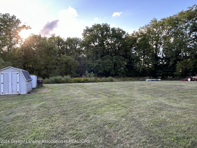 view of yard featuring a shed