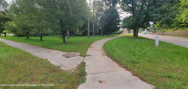 507 E Grand River Ave, Portland MI, 48875 land for sale